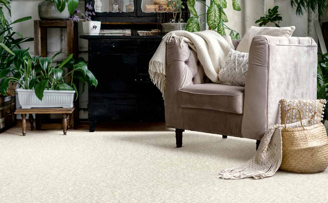 Living room with a velvet accent chair and a cream colored carpet